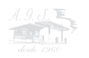 logo antiguo - Gasolineras Repsol Salamanca - Grupo Eco Alhandiga